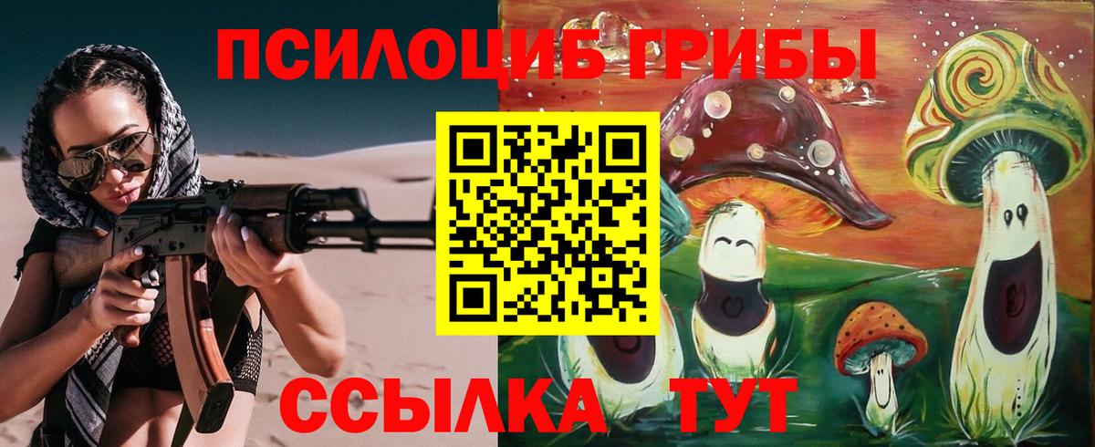 Псилоцибиновые грибы Psilocybe Скопин
